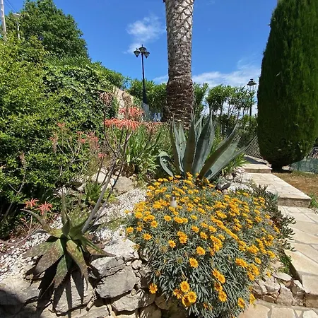 Villa Orea *